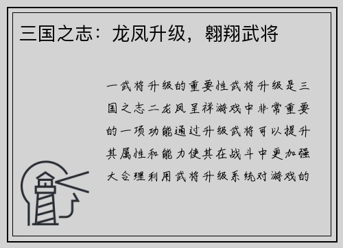 三国之志：龙凤升级，翱翔武将